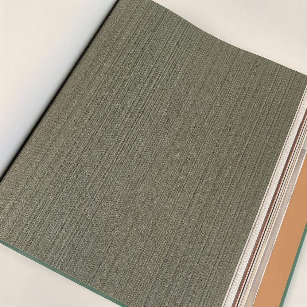 Alessandro Allori Argiano 15027-8