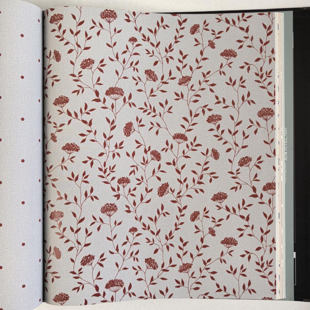 Andrea Rossi Spectrum Box 54456-6 Andrea Rossi Spectrum Box 54456-6