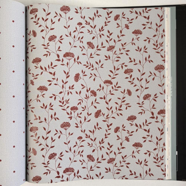 Andrea Rossi Spectrum Box 54456-6 Andrea Rossi Spectrum Box 54456-6