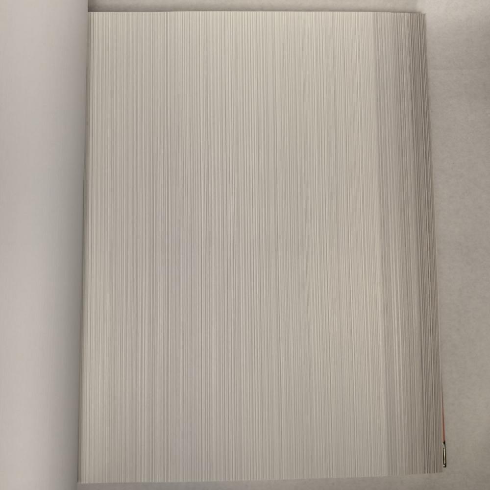 Andrea Rossi Berggi 54447-2